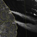 위성메디칼 이미지