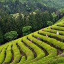 솔베이스테이 이미지