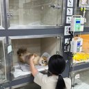 잘하는 동물메디컬센터 이미지