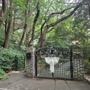 카페(cafe) 봄 | 부산 카페 추천 카페 만디 cafe mandi 드디어와봄 너무이뻐요 차량이동 후기 내돈내산 노키즈