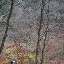 우진송죽마을 이미지