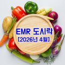 [2026년 4월] EMR 도시락 이미지