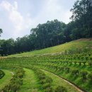 지수목장 이미지