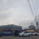 펄마트식육점