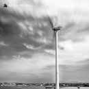 조수목장 이미지