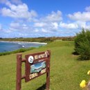 샤크베이레슨전문수영장 | 해외골프 사이판골프 코랄오션CC 정보 라운딩후기