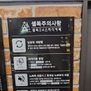 셀독24시스터디카페 이미지