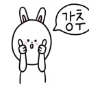 아카데미국가대표태권도장 이미지