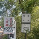 모아 | 진해 브런치카페 [MOA 모아] 후기 🍃