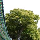 가섭사석가여래좌상 이미지