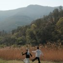 토토다방 - 양평군 양평시장길 3-2 | 우리의 셀프웨딩 : 현실 셀프 웨딩촬영 후기