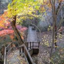 청운개발 이미지