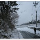 대죽삼거리~대죽마을 Daum카페