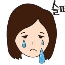 청학 승마클럽 네이버블로그
