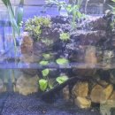 (주)아쿠아링크 이미지