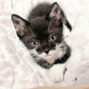 남산동물병원 이미지