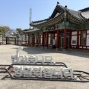 성호식당 - 강서구 녹산산단382로49번길 46 | 영월 맛집 성호식당 다슬기 해장국 후기 영월 여행 가면 꼭 먹어야 할 음식