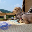 새샘농장 이미지