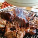 소나무향기 이미지