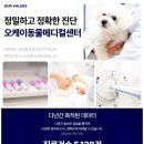 오케이동물병원 이미지