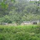 광일농장 이미지