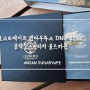 안산전자담배슈가베이프 이미지