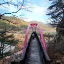 송해공원둘레길 이미지