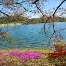 제일주유소 공중화장실 이미지