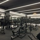 머슬메카 이미지