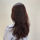 아라살롱 - 부평구 | 아라살롱