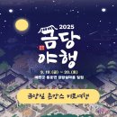 묵이네 냥이 | 예천축제 | 2025 금당야행&amp;미로여행(주차,먹거리,후기)