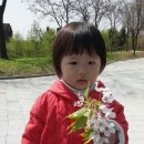 솔빛공원 1 이미지