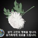 28회 임재봉 동문의 장모님께서 소천하셨습니다. 이미지