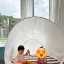 비담풀빌라스테이 네이버블로그