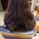 네이처파마 이미지