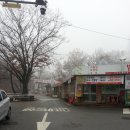 자모