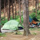 호명산잣나무숲캠핑장 이미지