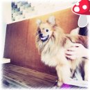 까페세마 이미지