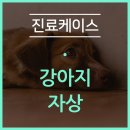 민락동물병원 이미지