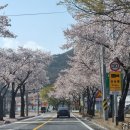 추부면 신평삼거리 이미지