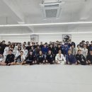 팀옥토퍼스