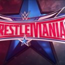 WWE WRESTLEMANIA 32 승자맞추기 결과 이미지