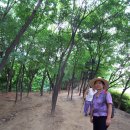 용봉약국 이미지