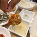리빠똥 티스토리