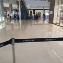 J0081 | [신세계백화점 센텀시티점] 까르띠에 러브링 웨딩밴드 / 구찌 캣워치 구매후기(feat.오픈런)