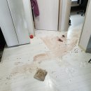 경춘로양골1길 이미지