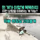 내가할개 이미지