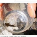 샘물지역아동센터 이미지