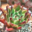 동운슈퍼 이미지