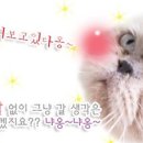 네네치킨천곡점 이미지
